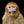 Akustikbild «Affe» | verschiedene Grössen