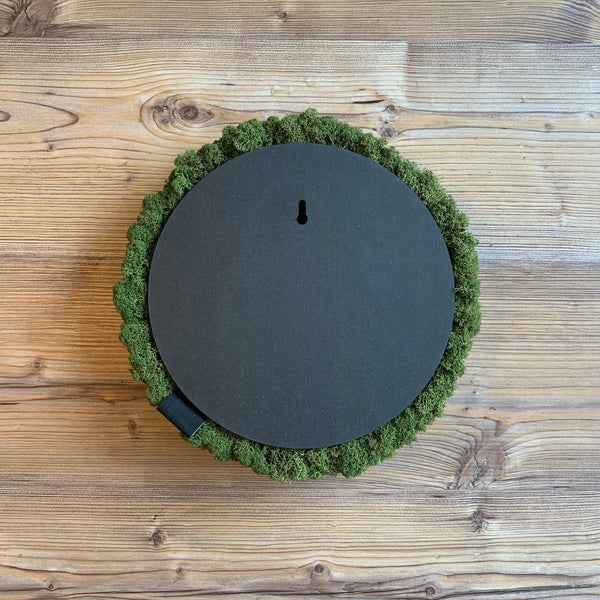 Nordgröna® Moos-Wandpanel Convex Circle ø 30 cm | Apple