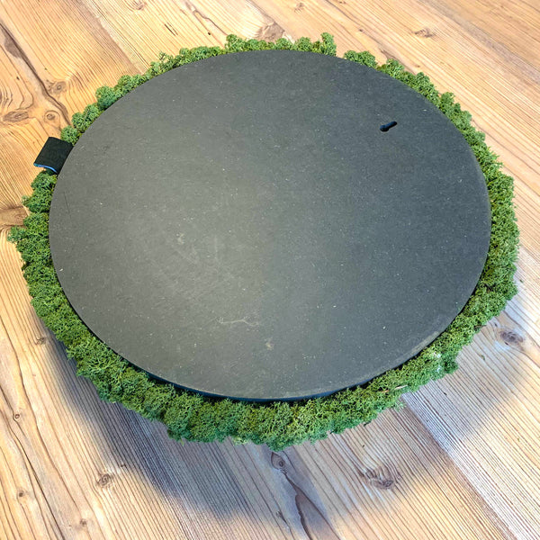 Nordgröna® Moos-Wandpanel Convex Circle ø 60 cm | Apple