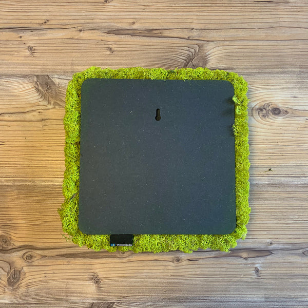 Nordgröna® Moos-Wandpanel Convex Square 30 x 30 cm | Lime