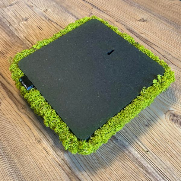 Nordgröna® Moos-Wandpanel Convex Square 30 x 30 cm | Lime