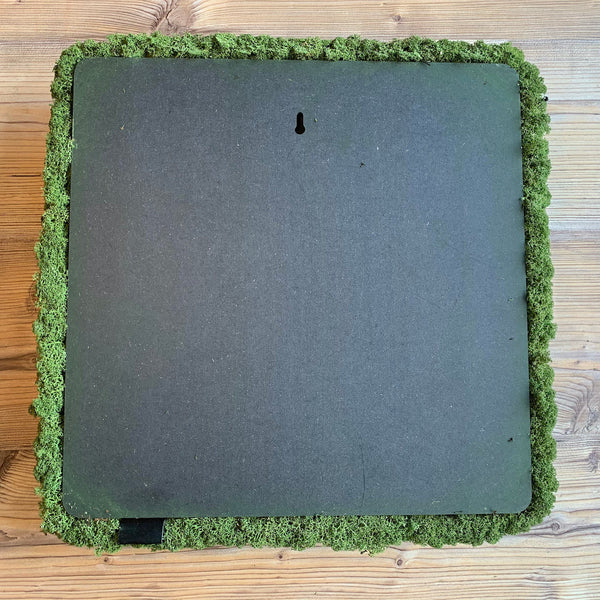 Outlet - Nordgröna® Moos-Wandpanel Convex Square 45 x 45 cm | Apple