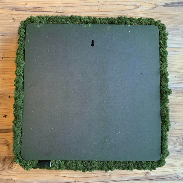 Outlet - Nordgröna® Moos-Wandpanel Convex Square 45 x 45 cm | Moss