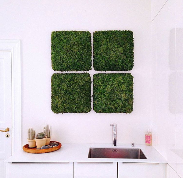 Outlet - Nordgröna® Moos-Wandpanel Convex Square 45 x 45 cm | Moss