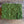 Nordgröna® Moos-Pixel im 12er Set | Apple