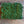 Nordgröna® Moos-Pixel im 12er Set | Moss