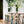 Nordgröna® Moos-Wandpanel Convex Squircle 30 x 30 cm | Moss