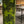 Nordgröna® Moos-Pixel im 12er Set | Apple