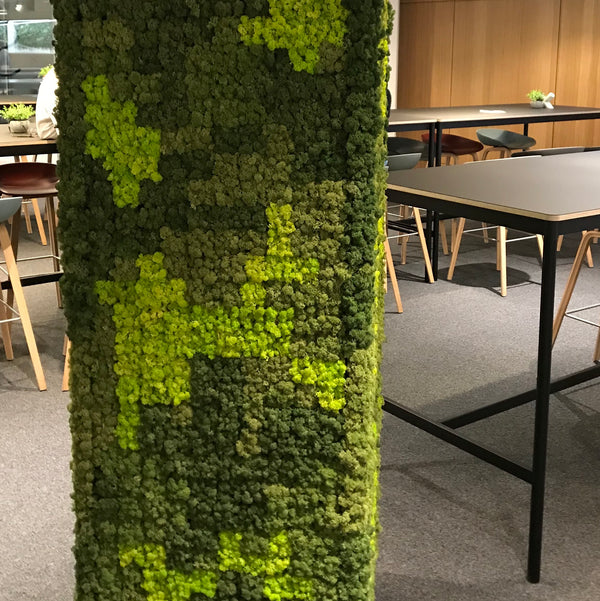 Nordgröna® Moos-Pixel im 12er Set | Apple