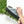 Nordgröna® Moos-Pixel im 12er Set | Apple