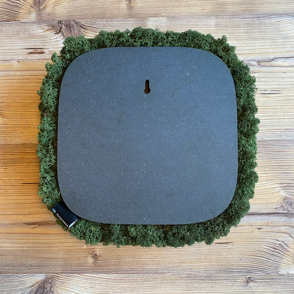 Nordgröna® Moos-Wandpanel Convex Squircle 30 x 30 cm | Moss