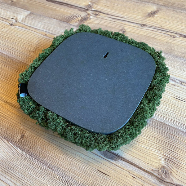 Nordgröna® Moos-Wandpanel Convex Squircle 30 x 30 cm | Moss