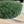 Outlet - Nordgröna® Moos-Wandpanel Convex Squircle 45 x 45 cm | Moss