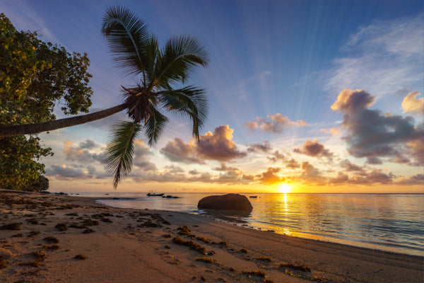 Akustikbild «Sonnenuntergang Seychellen» | verschiedene Grössen