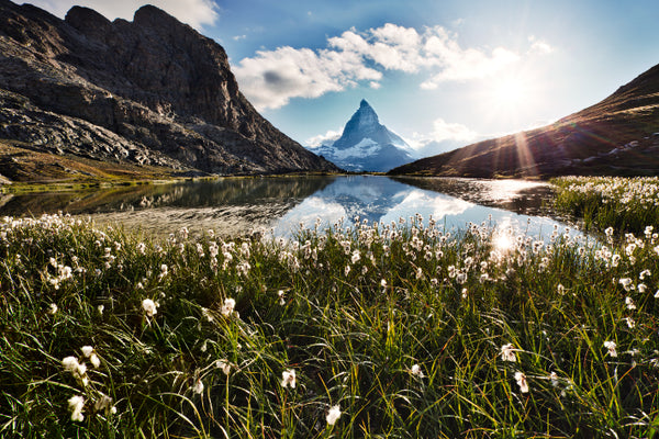 Akustikbild «Matterhorn und Blumen» | verschiedene Grössen
