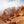 Akustikbild «Bryce Canyon Nationalpark Utha - USA» | verschiedene Grössen