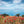 Akustikbild «Mohnblumen und Blick aufs Meer» | verschiedene Grössen