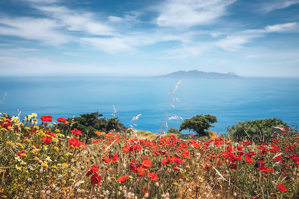 Akustikbild «Mohnblumen und Blick aufs Meer» | verschiedene Grössen