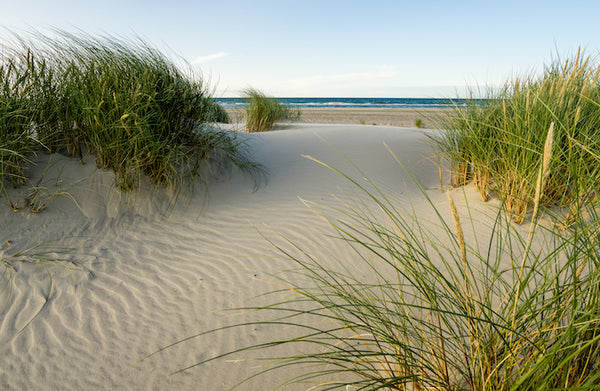 Akustikbild «Sanddünen Skagen - Dänemark» | verschiedene Grössen