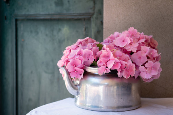 Akustikbild «Rosa Hortensien» | verschiedene Grössen