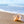 Akustikbild «Muschel am Strand» | verschiedene Grössen
