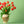 Akustikbild «Tulpenstrauss» | verschiedene Grössen