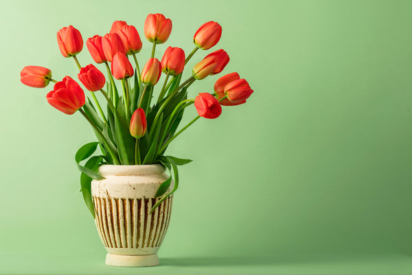 Akustikbild «Tulpenstrauss» | verschiedene Grössen