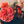 Akustikbild «Nostalgie - Blumen» | verschiedene Grössen