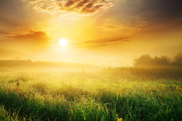 Akustikbild «Sonnenaufgang über Wiese» | verschiedene Grössen