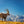 Akustikbild «Steinbock» | verschiedene Grössen