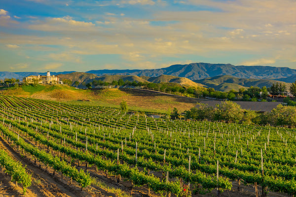 Akustikbild «Weingut im Temecula Valley - Kalifornien» | verschiedene Grössen