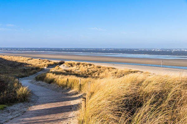 Akustikbild «Dünenlandschaft auf der Nordseeinsel Spiekeroog» | verschiedene Grössen