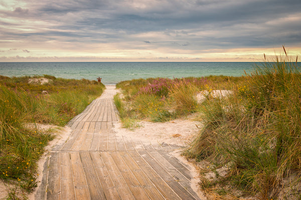 Akustikbild «Pfad zum schwedischen Strand» | verschiedene Grössen