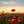 Akustikbild «Mohn- und Lavendelfeld» | verschiedene Grössen